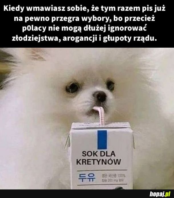 Podpowiadam: mogą.