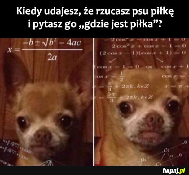 Piłeczka