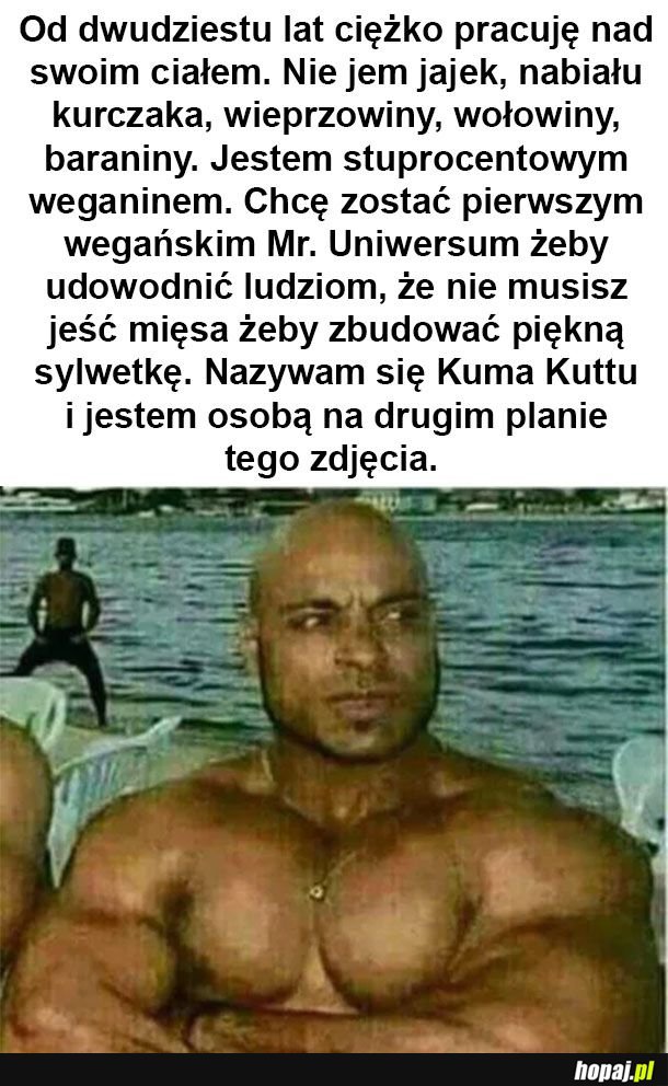 Wegański Mr.Uniwersum