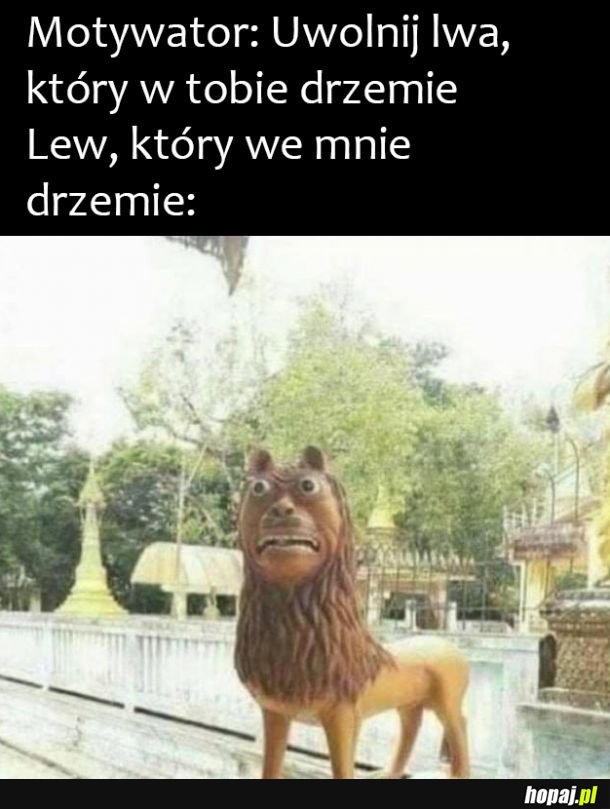 Waleczny lew