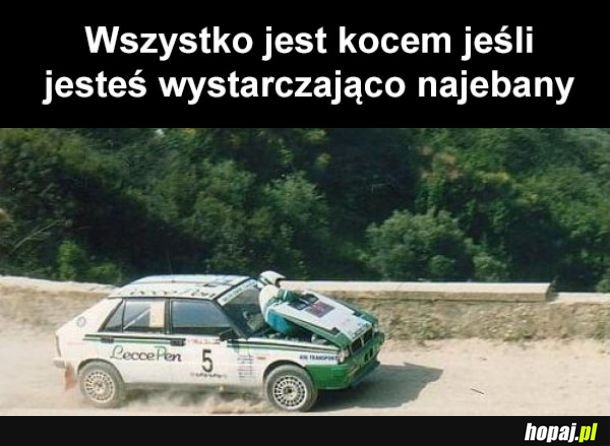  Wszystko jest kocem 