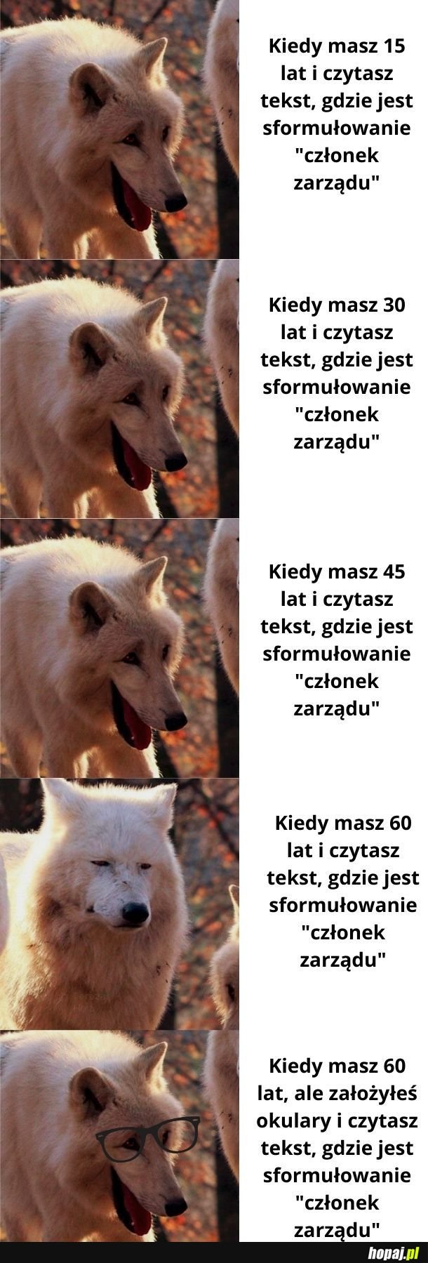To śmieszne bo beniz