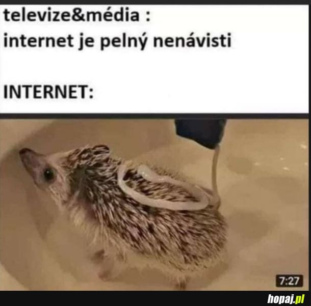 Internet ♥
