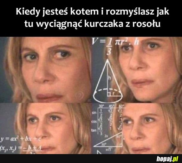 Koty tak mają 