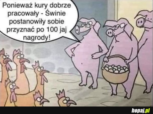 Lata mijają a dalej bez zmian