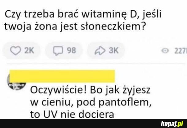 Wit D