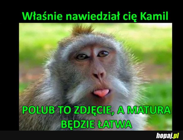 Nawiedzony...