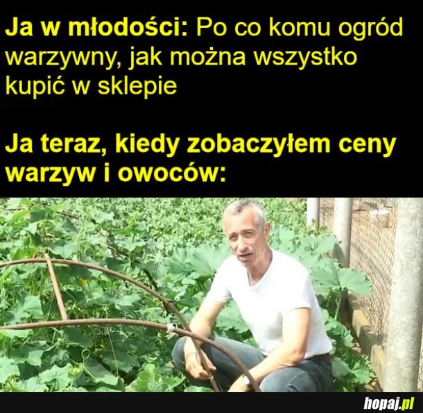 To ja i mój warzywny parapet