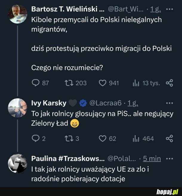Kolegum tumanum