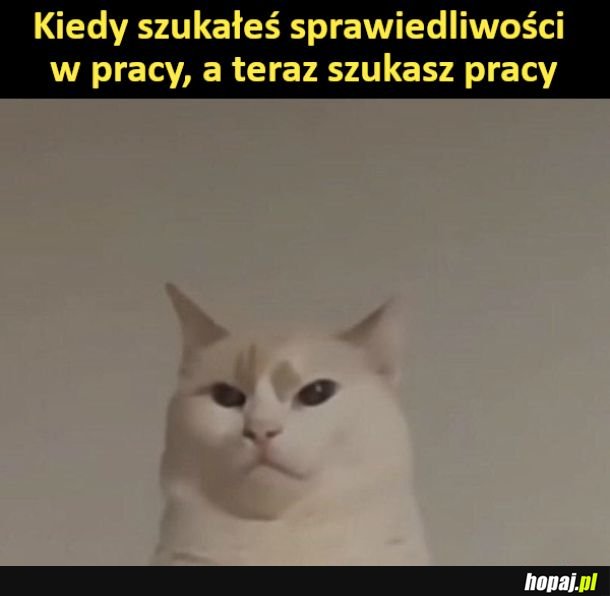 Jest jak jest