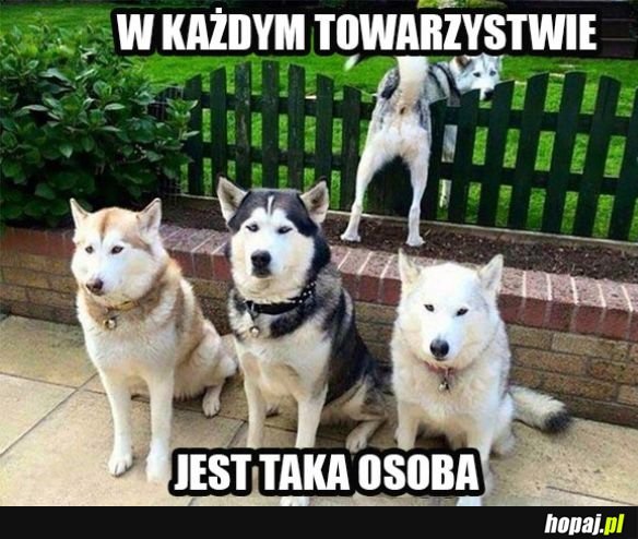 Wspólne zdjęcie