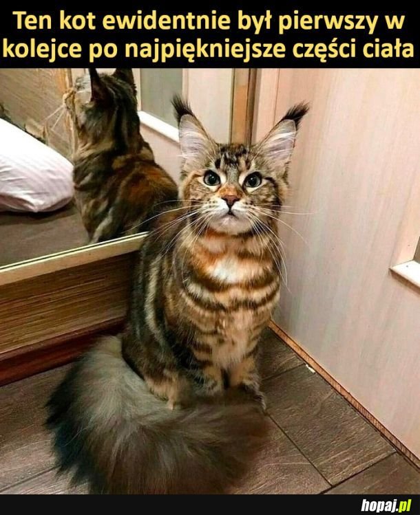 Chyba prawda