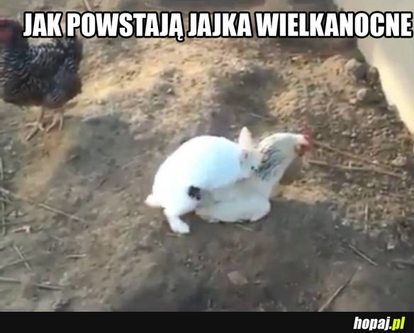 Jajka wielkanocne