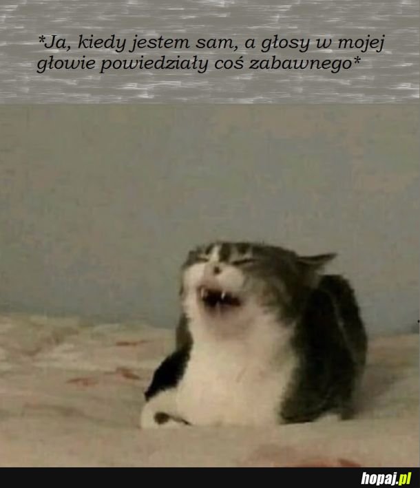 Oj Ty świntuchu