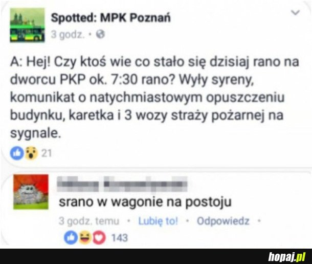 TERRORYSTA