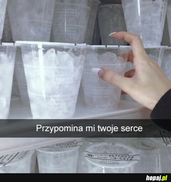 Serce ex