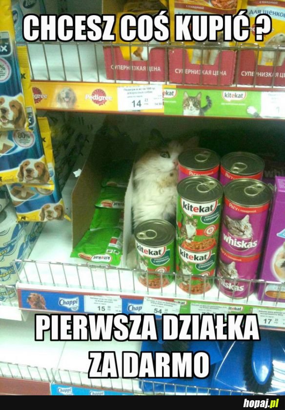 Psst człowieku