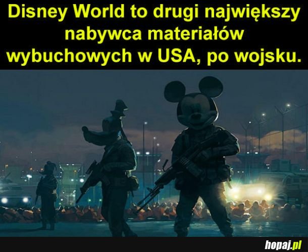 Disney taki jest