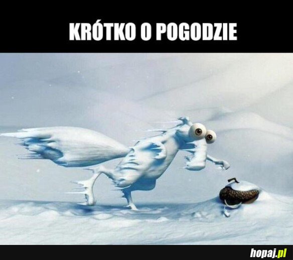 TROCHE ZIMNO