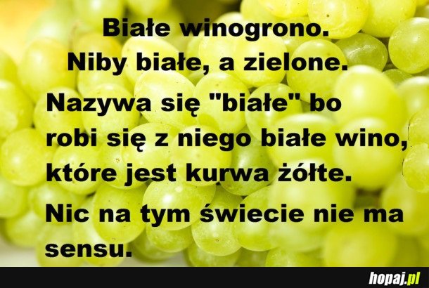 NIC NIE MA SENSU