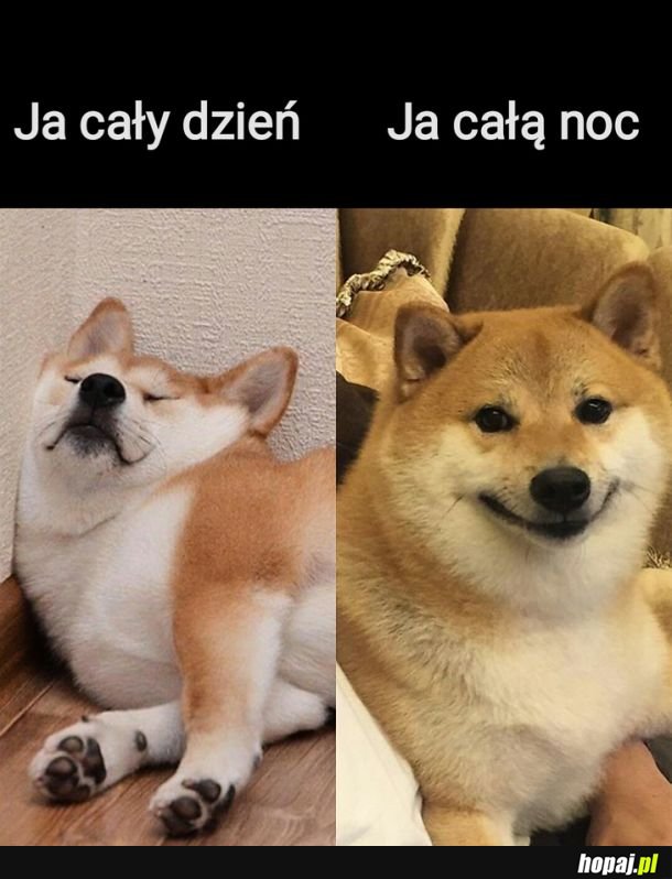 Tak to właśnie wygląda
