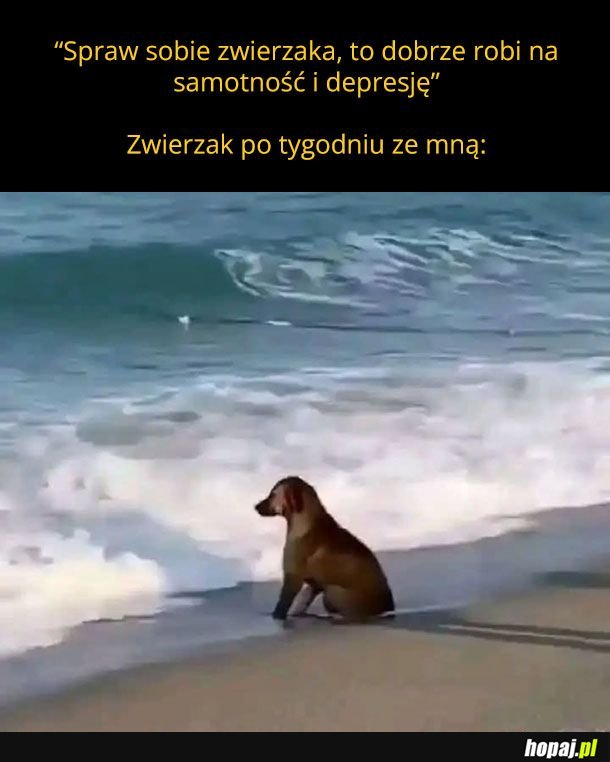 Nie działa
