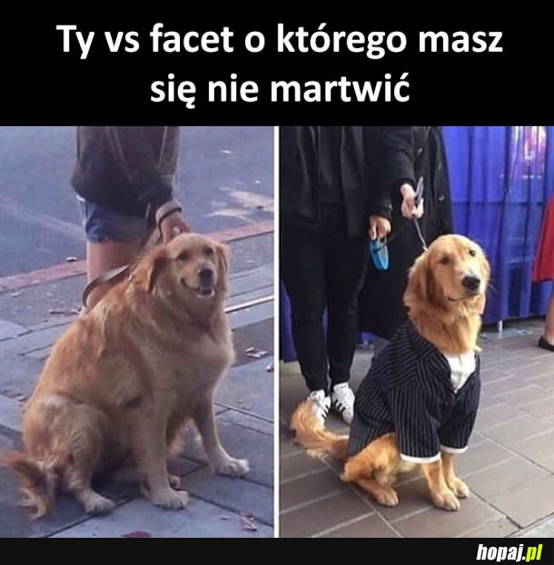 Ty vs on