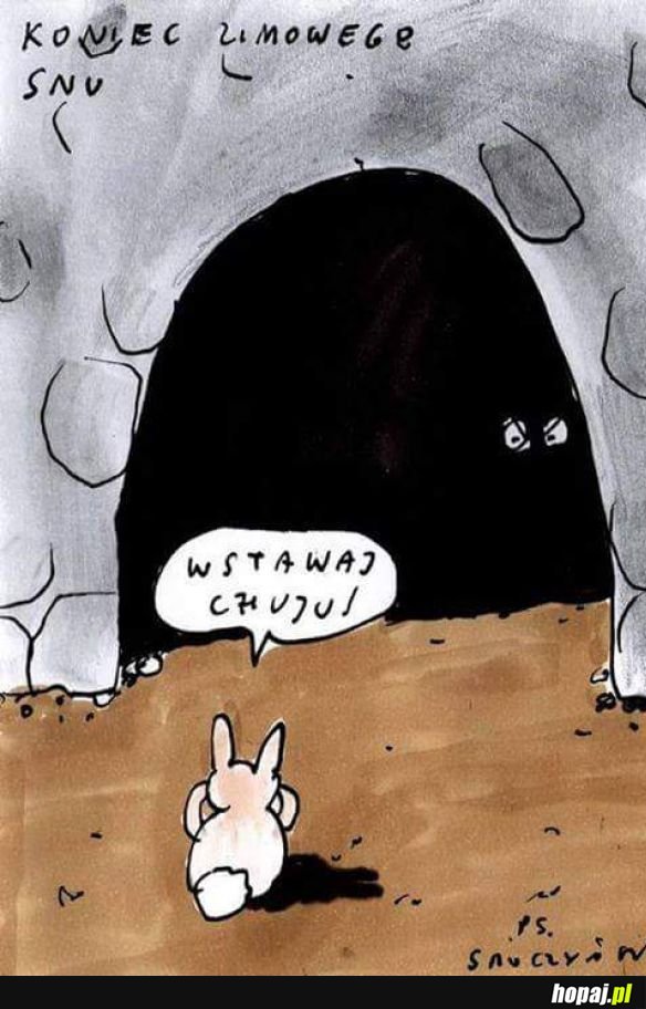 Koniec snu zimowego
