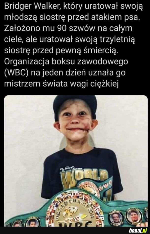 Kozak, mam nadzieję, że wszystko u niego dobrze