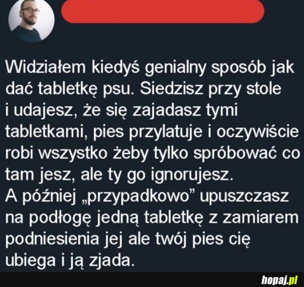 Niegłupie