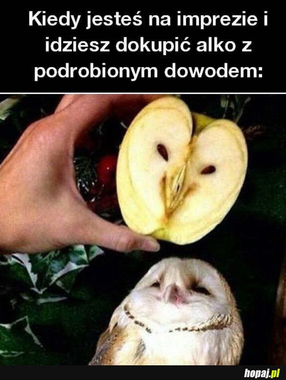 JA NIE WIDZE RÓŻNICY