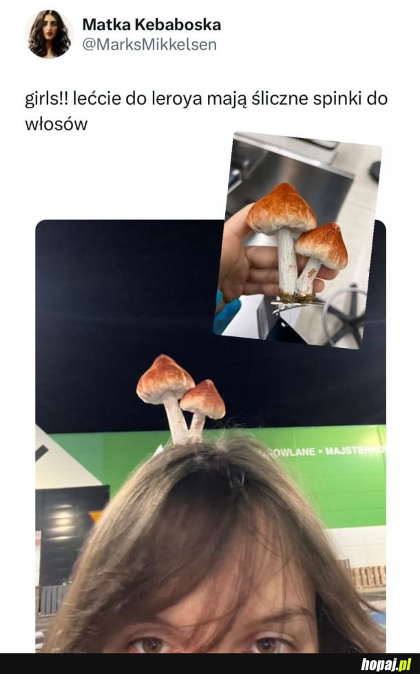  Spinki 