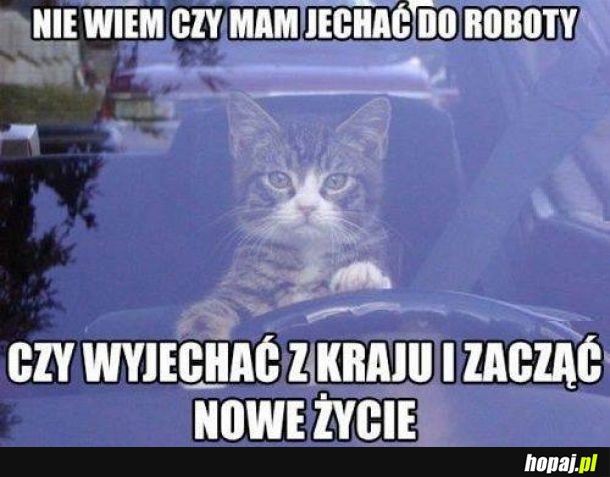 Gruba rozkmina