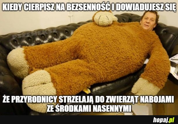 Dobranoc