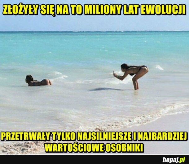 MILION LAT EWOLUCJI