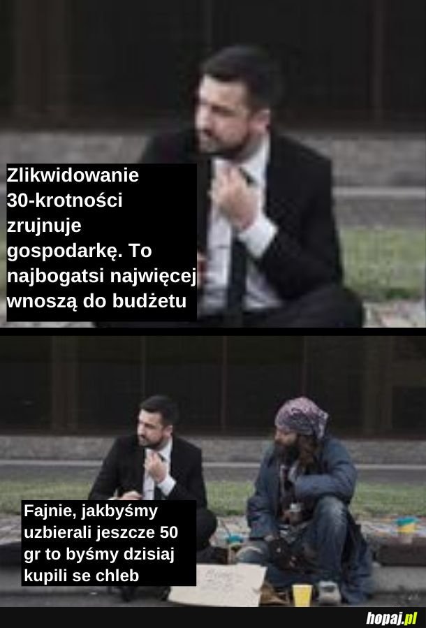 Kuce takie są