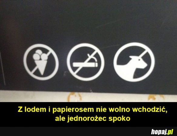 Zakazy