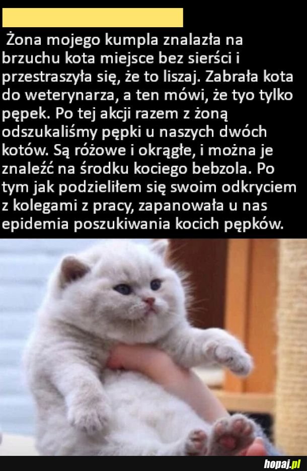 Tak.. też szukałem kociego pępka