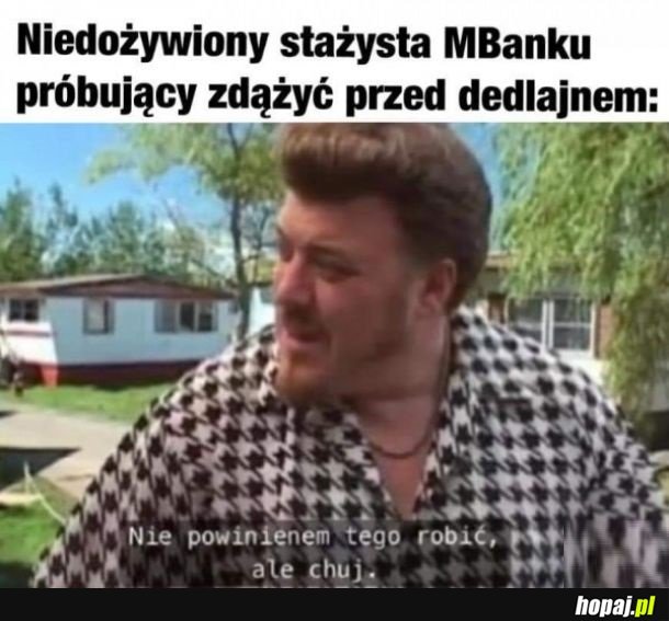 Stażysta w mBanku