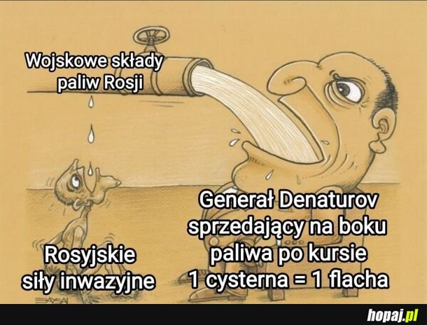 Typowo