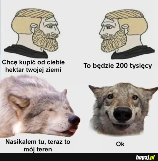 Nasikane to moje