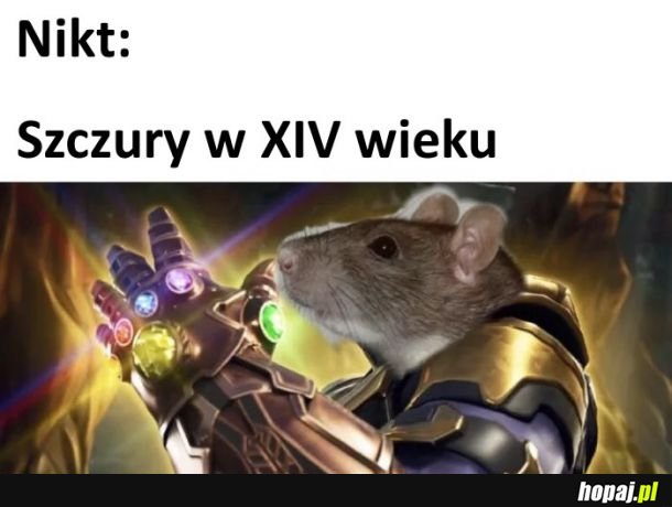 Perfect Balance 