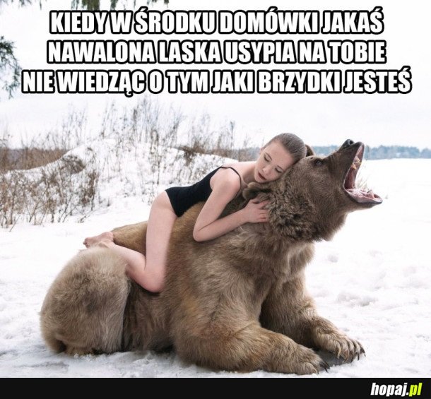 JESTEM WYGRYWEM