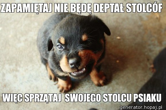 ZAPAMIĘTAJ NIE BĘDĘ DEPTAŁ STOLCÓF