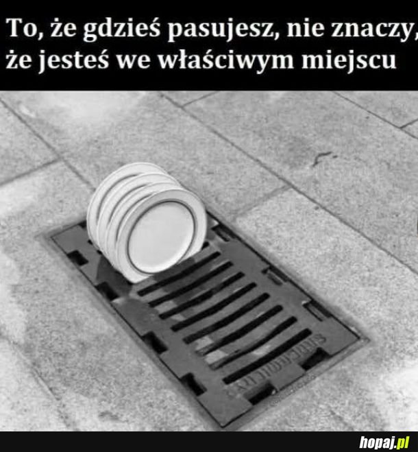Xd