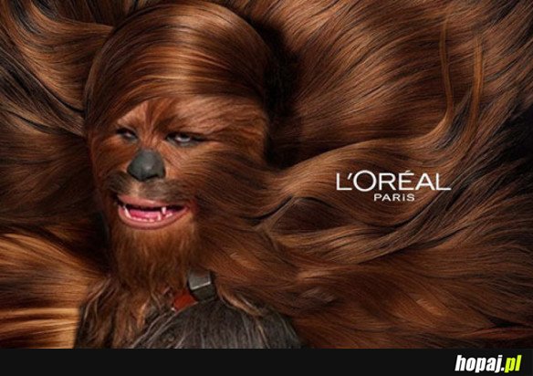 JESTEŚ TEGO WART, CHEWIE