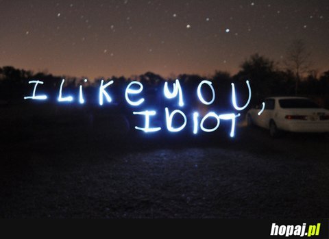 I like you, idiot