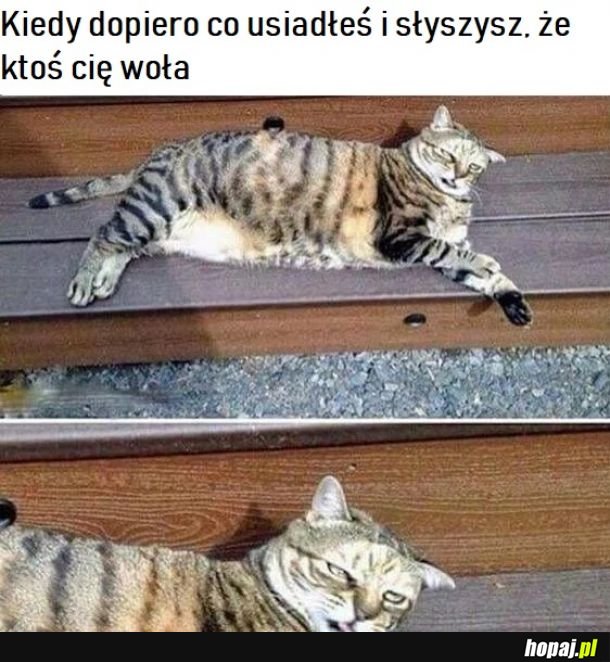  No cudnie