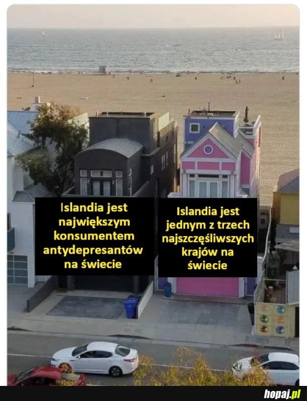 Wszystko się łączy