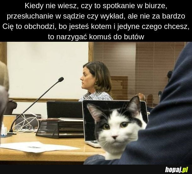  Wszystko, czego dziś chcę...